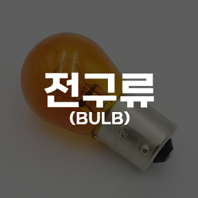 전구류(BULB)